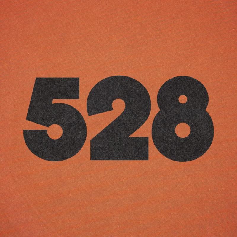 528 Ibiza