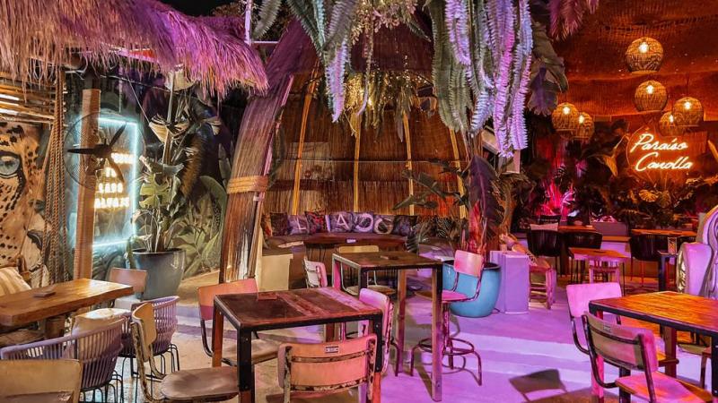 Baloo Ibiza image 3