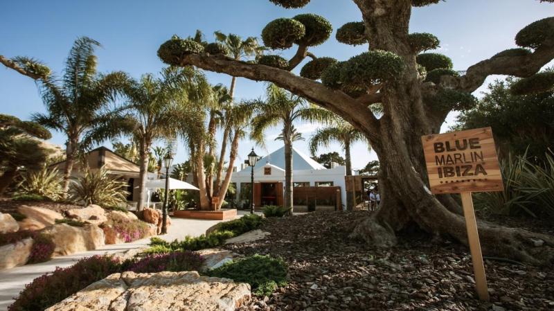 Blue Marlin Ibiza image 1