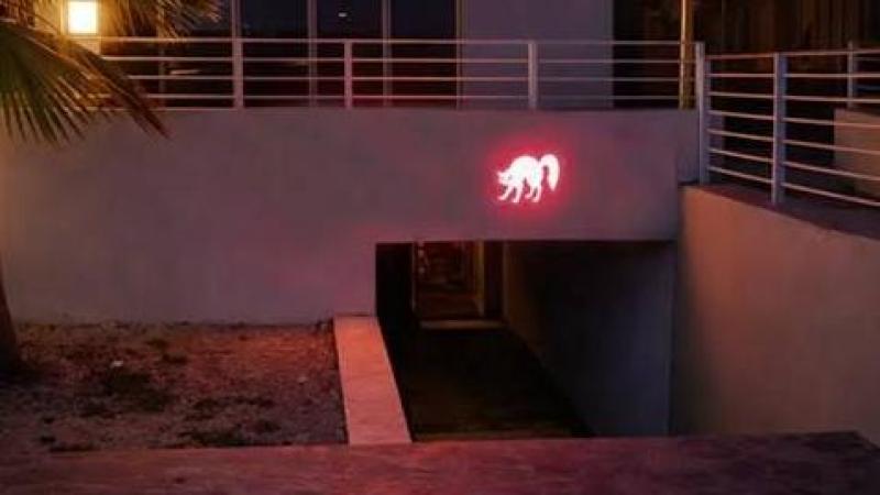 Nocturna image 2