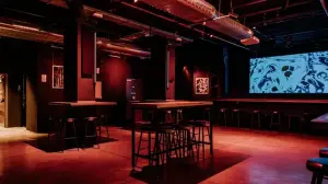303  Audiophile Bar