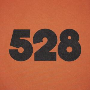 528 Ibiza