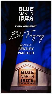 Blue Frequency