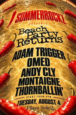 THE BEACH PARTY RETURNS With SUMMERROCKZ