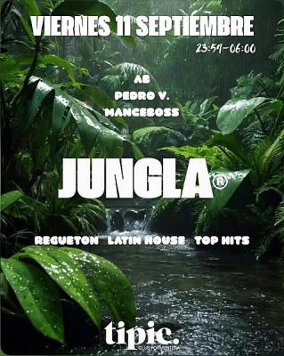 Jungla