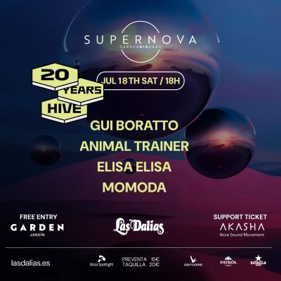 SUPERNOVA X HIVE