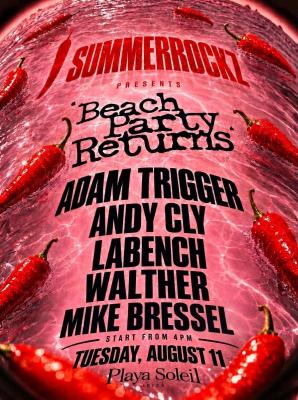 THE BEACH PARTY RETURNS With SUMMERROCKZ