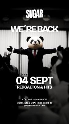 WE’RE BACK - SUGAR