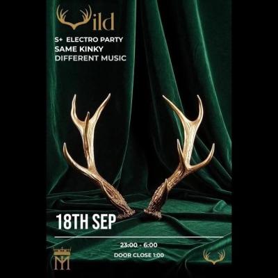 Wild - S+ Electro Party