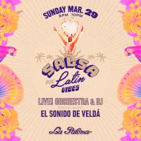 Salsa & Latin Vibes