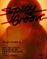 Spicy Groove