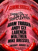 THE BEACH PARTY RETURNS With SUMMERROCKZ